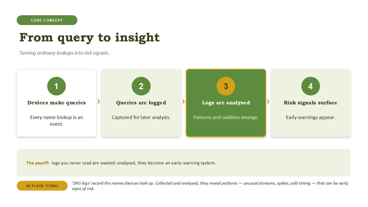 From query to insight