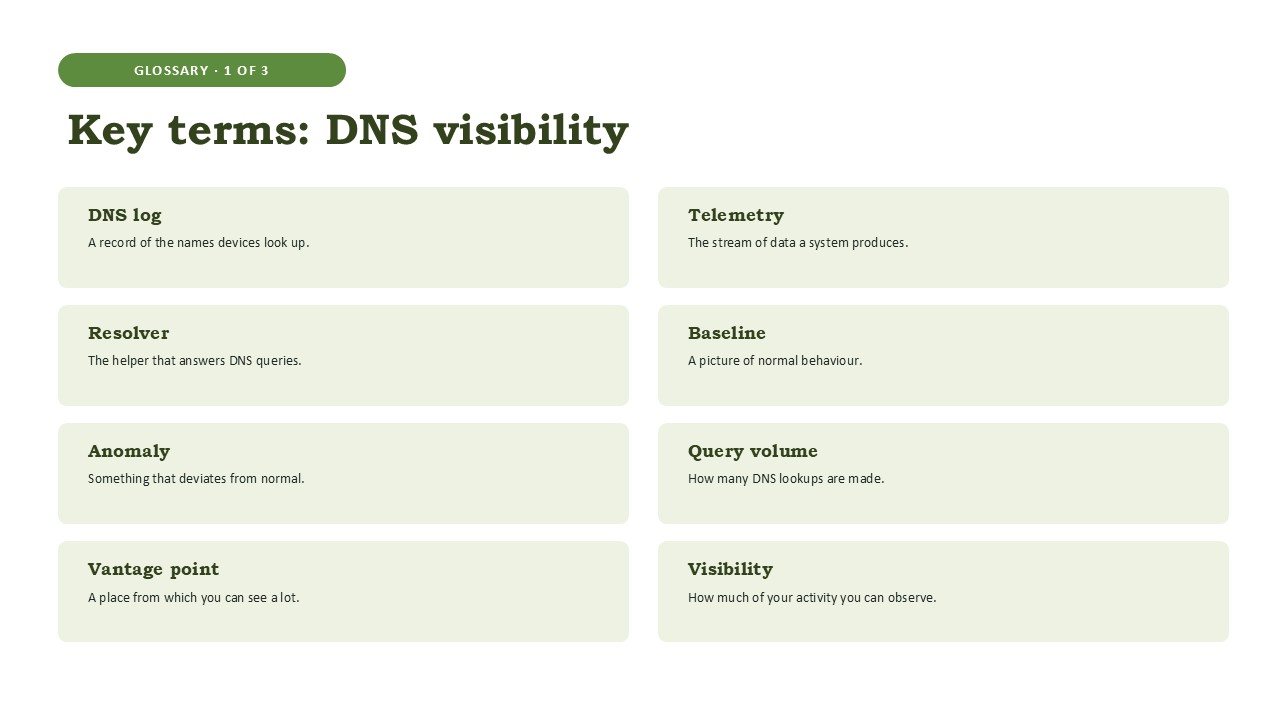 Key terms: DNS visibility