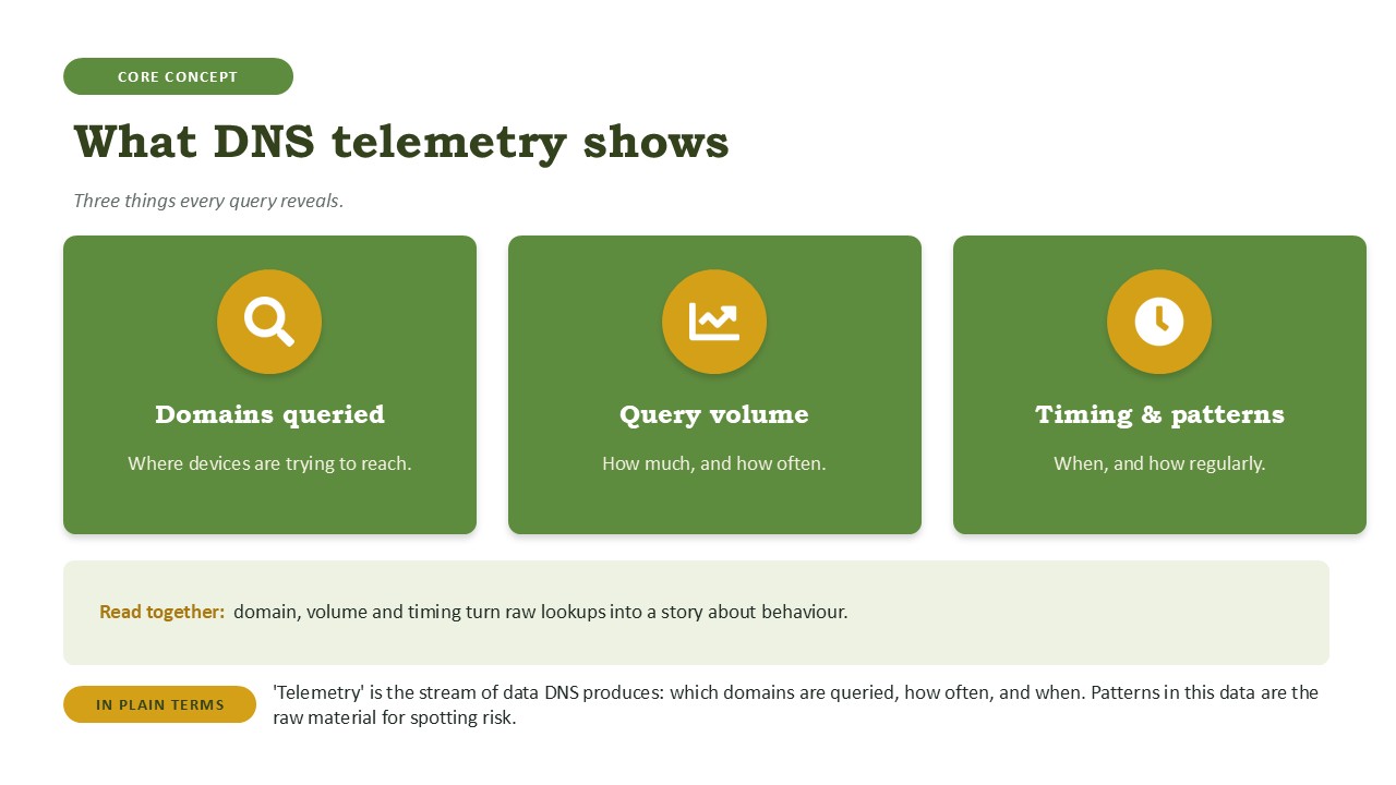 What DNS telemetry shows